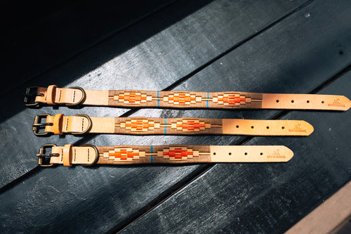 BirdDog X Zilker Stitched Collar